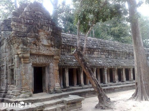 Ta Prohm Gallery Ta Prohm Gallery