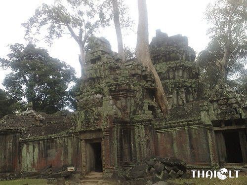 Ta Prohm Ta Prohm