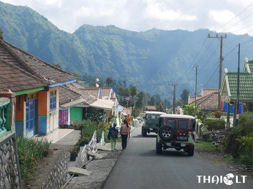 Best Way to Travel from Yogyakarta to Mount Bromo