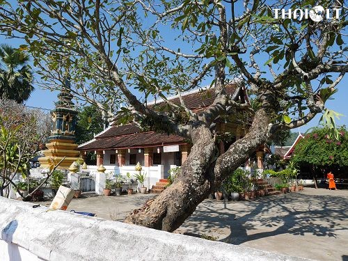 Wat Sop Sickharam Luang Prabang Wat Sop Sickharam Luang Prabang