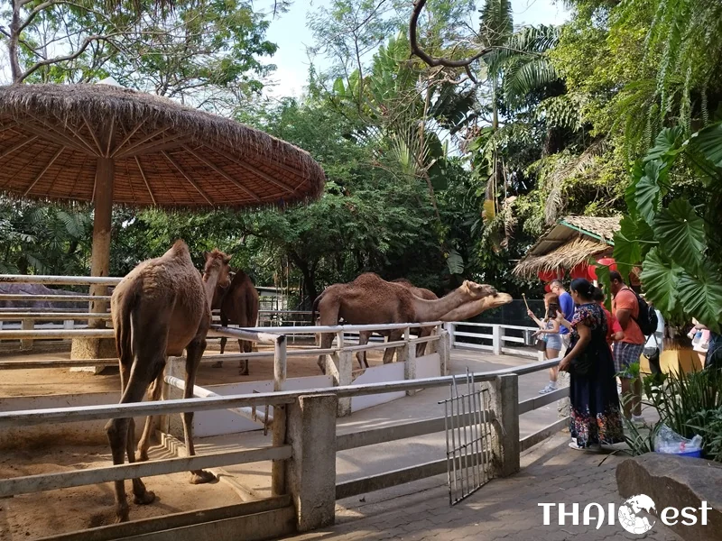 Safari World Bangkok