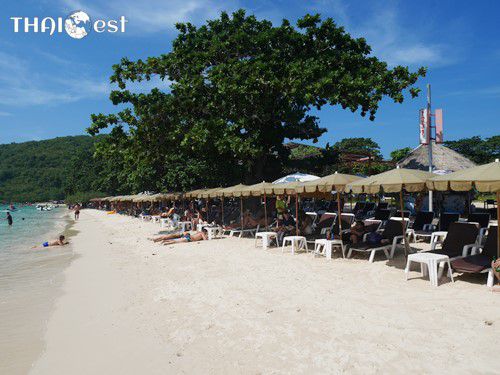 Samae Beach