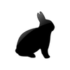 Captcha image 1938